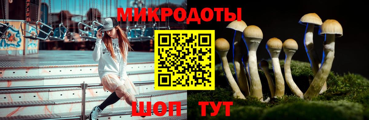 Псилоцибиновые грибы Magic Shrooms  Вход с VPN  Орёл  Псилоцибиновые грибы Psilocybe 